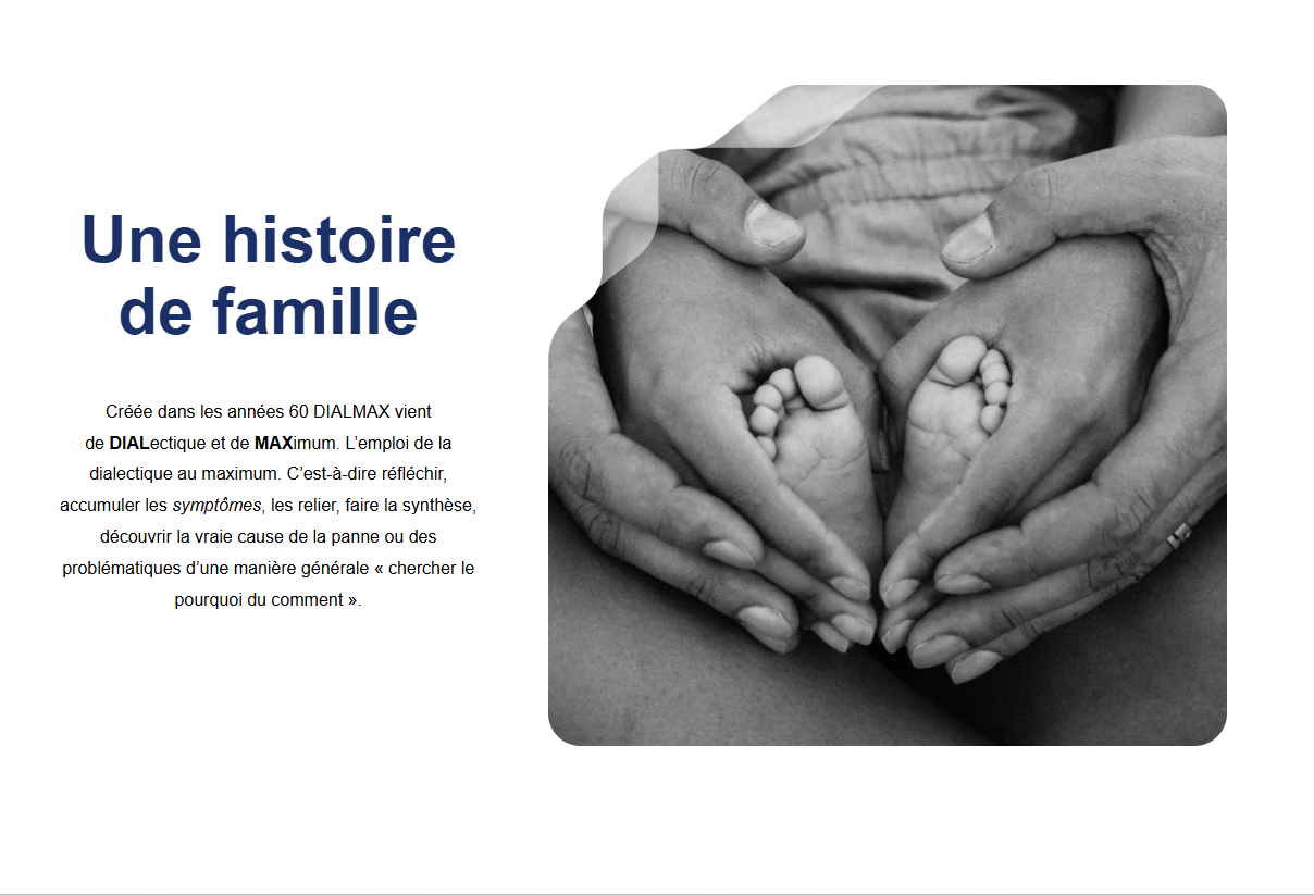 Project image: Dialmax Conseils Website - 3